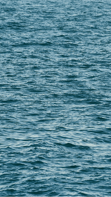 banner_2