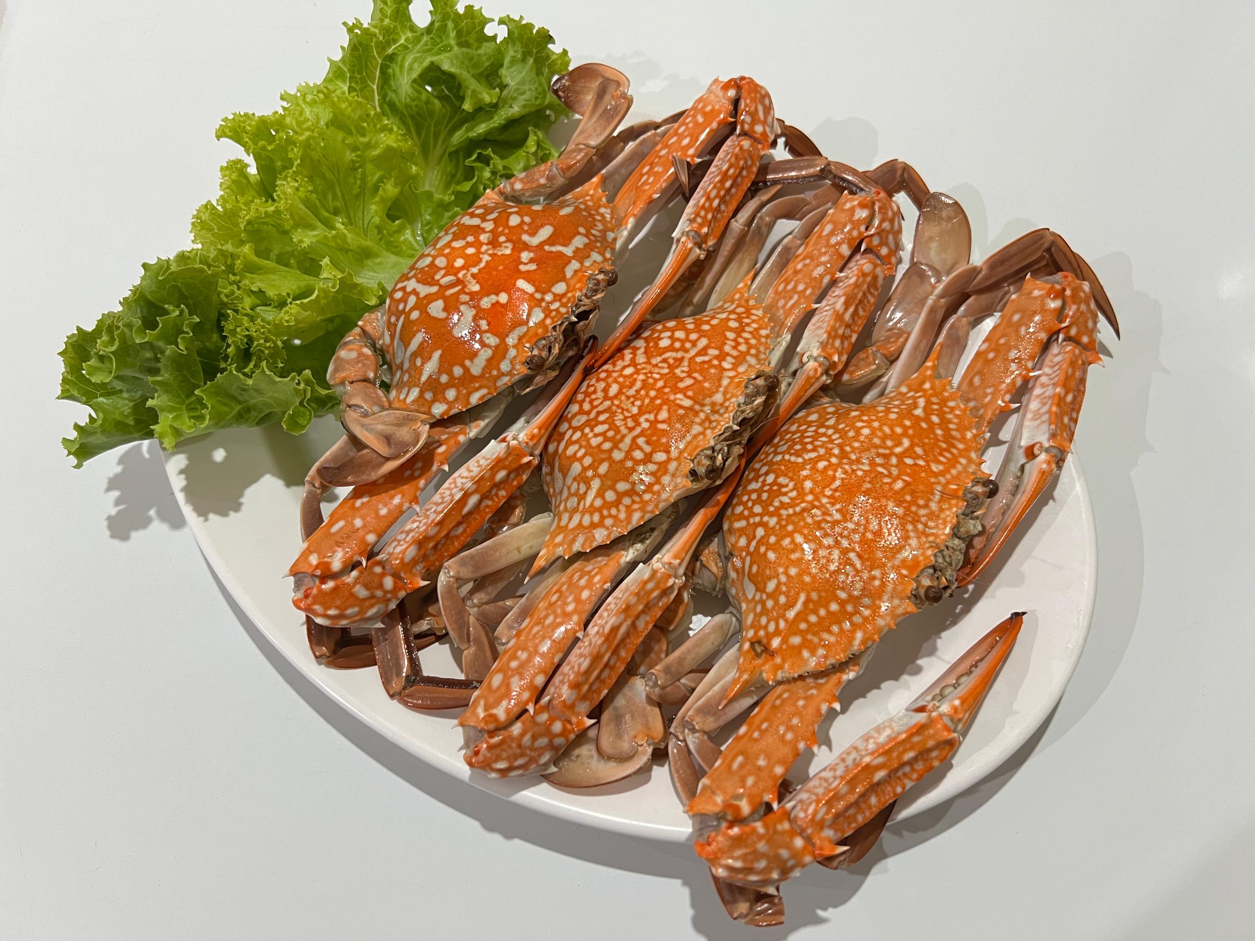ภาพปูม้าสามตัวในจาน ที่ผ่านการปรุงสุกแล้ว