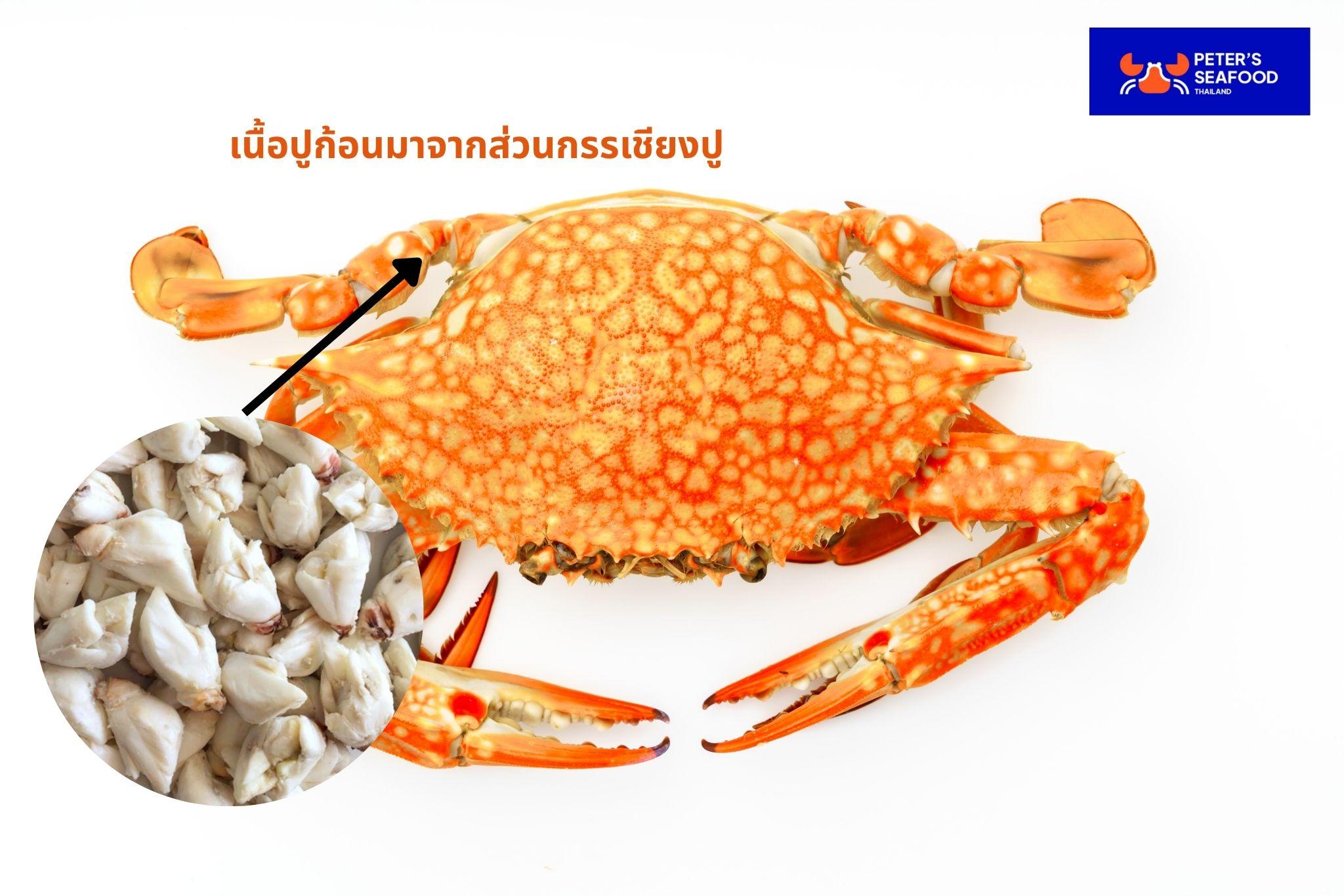 กรรเชียงปู