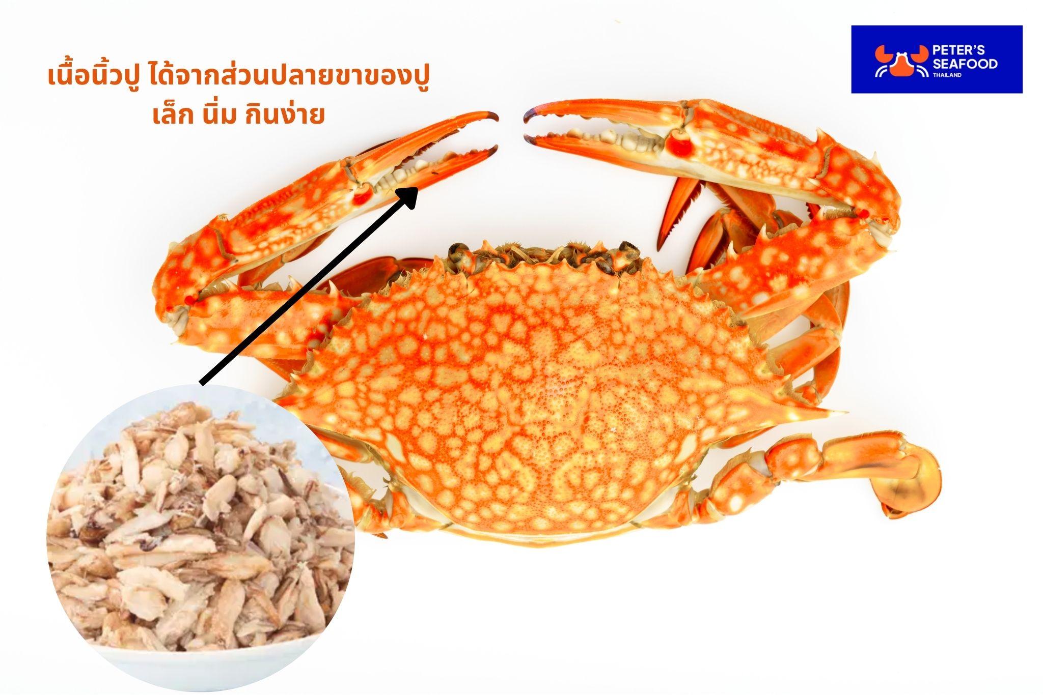 นิ้วปู