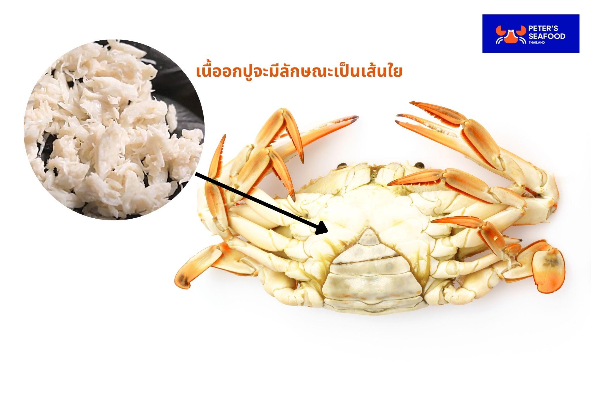อกปู