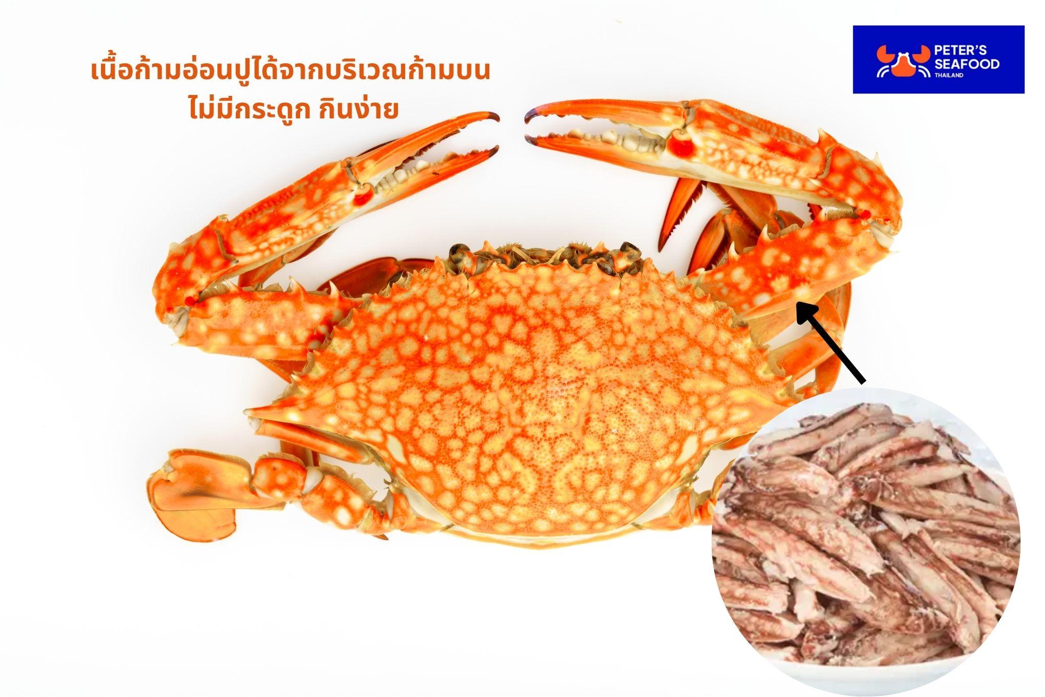 ก้ามอ่อนปู